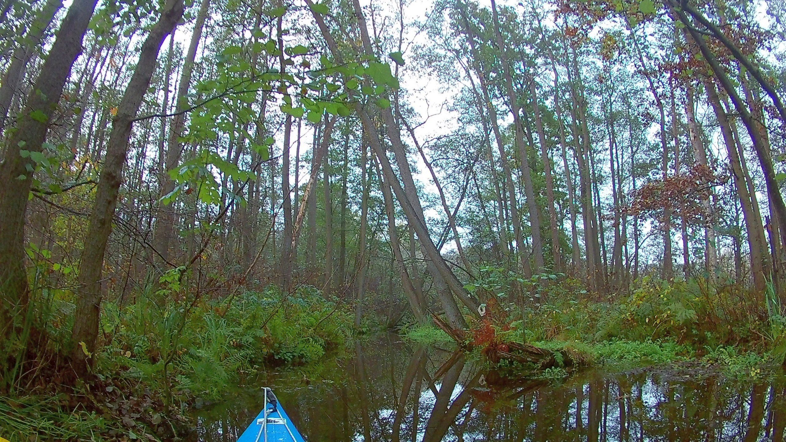 Wakenitz-Grenzfahrt-020