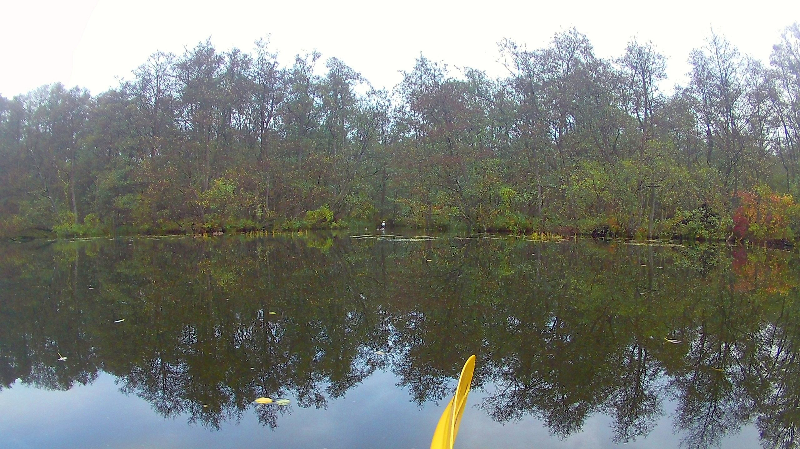 Wakenitz-Grenzfahrt-024