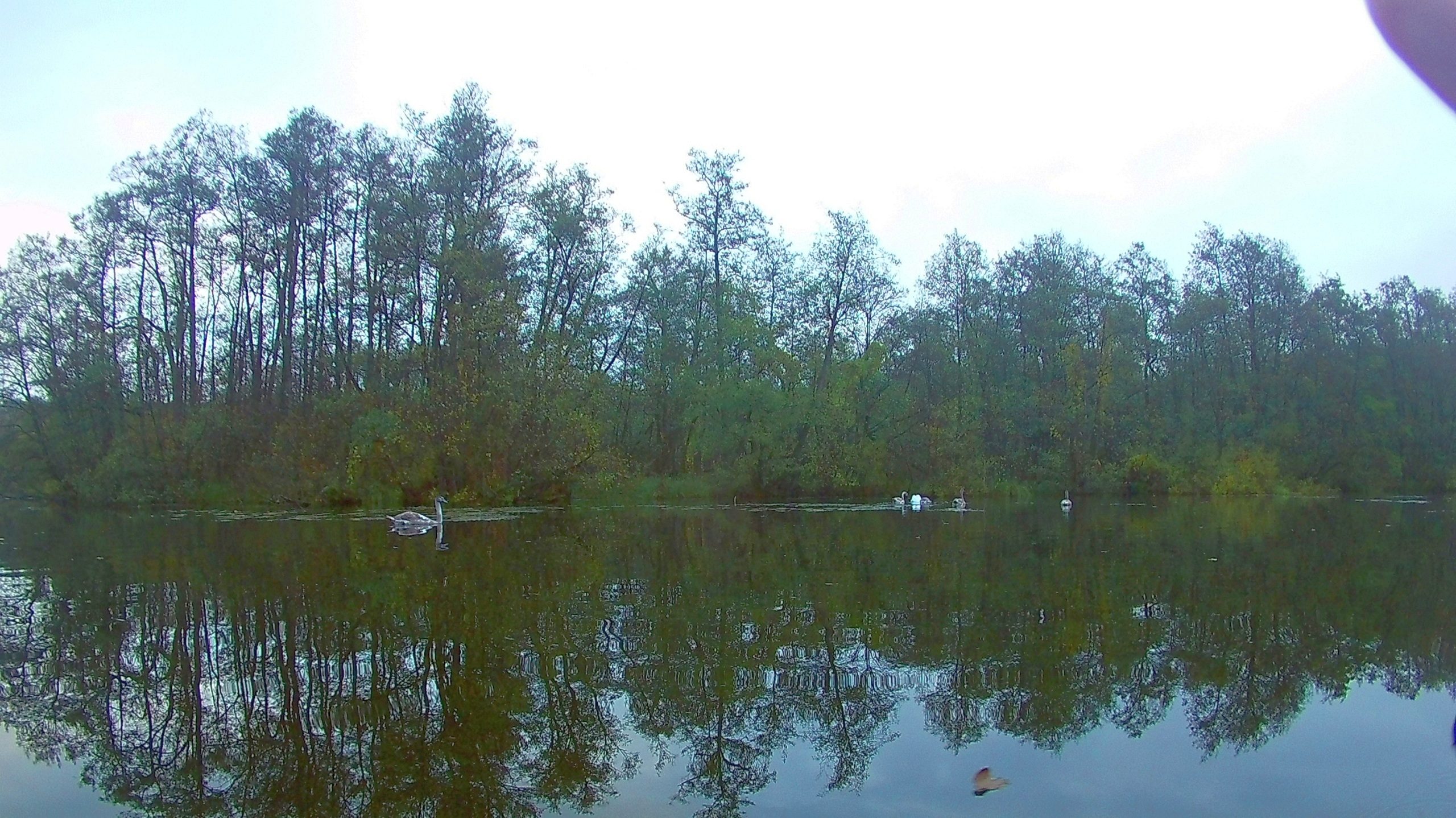 Wakenitz-Grenzfahrt-029