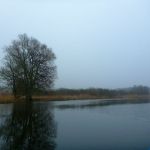 hro1.de-anpaddeln-2017-006