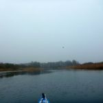 hro1.de-anpaddeln-2017-007