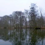 hro1.de-anpaddeln-2017-009