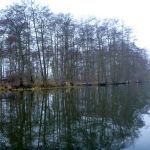 hro1.de-anpaddeln-2017-010