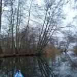 hro1.de-anpaddeln-2017-011