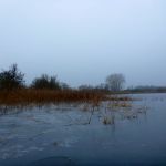 hro1.de-anpaddeln-2017-014