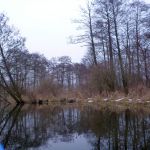 hro1.de-anpaddeln-2017-018