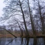 hro1.de-anpaddeln-2017-019