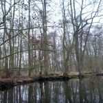 hro1.de-anpaddeln-2017-020