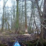 hro1.de-anpaddeln-2017-022