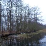 hro1.de-anpaddeln-2017-023