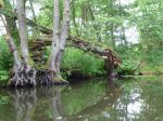Warnow-Bützow-Rostock p1010813