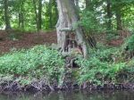 Warnow-Bützow-Rostock p1010867