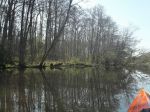 Warnow-Frühling 105_1059