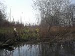 Warnow-Frühling 105_1060