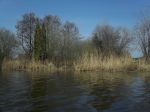 Warnow-Frühling 105_1065