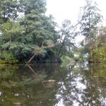 Warnow-Sommer-8-16-008