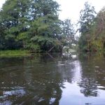 Warnow-Sommer-8-16-009