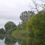 Warnow-Sommer-8-16-014