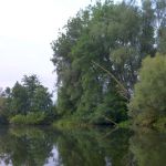 Warnow-Sommer-8-16-016