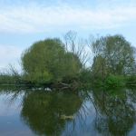 Warnow-Sommer-8-16-043