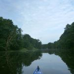 Warnow-Sommer-8-16-045