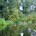 Warnow-Sommer-8-16-047