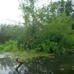 Warnow-Sommer-8-16-050