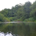 Warnow-Sommer-8-16-059