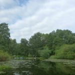 Warnow-Sommer-8-16-064