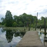 Warnow-Sommer-8-16-069