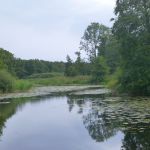 Warnow-Sommer-8-16-070