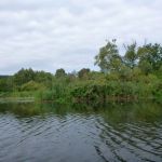 Warnow-Sommer-8-16-077