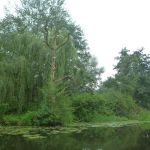 Warnow-Sommer-8-16-089