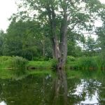 Warnow-Sommer-8-16-101