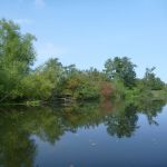 Warnow-Sommer-8-16-113