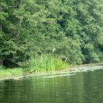 Warnow-Sommer-8-16-126