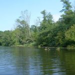 Warnow-Sommer-8-16-132