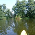 Warnow-Sommer-8-16-137