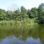 Warnow-Sommer-8-16-140