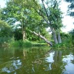 Warnow-Sommer-8-16-159