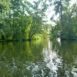 Warnow-Sommer-8-16-166