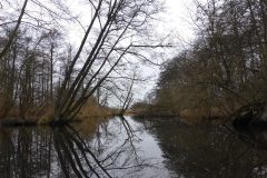Warnow-paddeln-02.2020-01