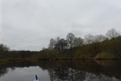 Warnow-paddeln-02.2020-03
