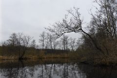 Warnow-paddeln-02.2020-04