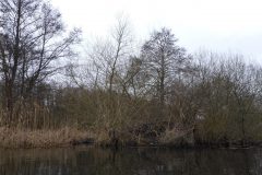 Warnow-paddeln-02.2020-05