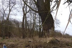 Warnow-paddeln-02.2020-07