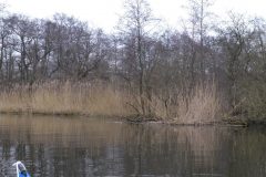 Warnow-paddeln-02.2020-09