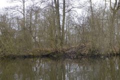 Warnow-paddeln-02.2020-10