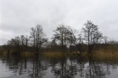 Warnow-paddeln-02.2020-12