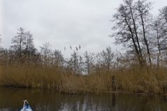 Warnow-paddeln-02.2020-14